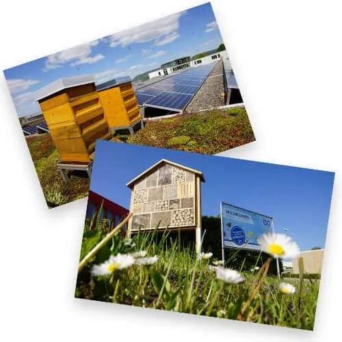 Bienenstock und Insektenhotel