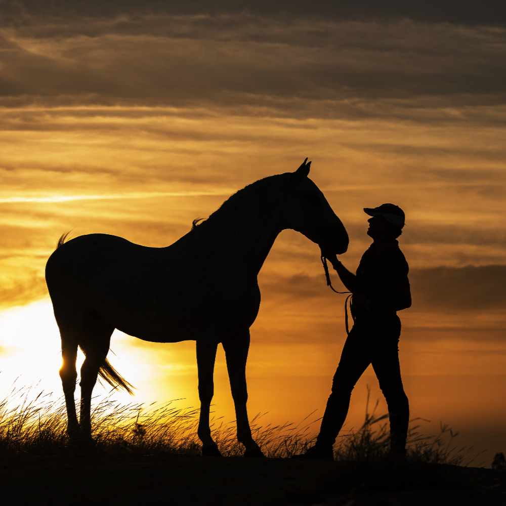 Brad Pitt als ikonischer Schauspieler und Produzent, der die Filmwelt prägt.