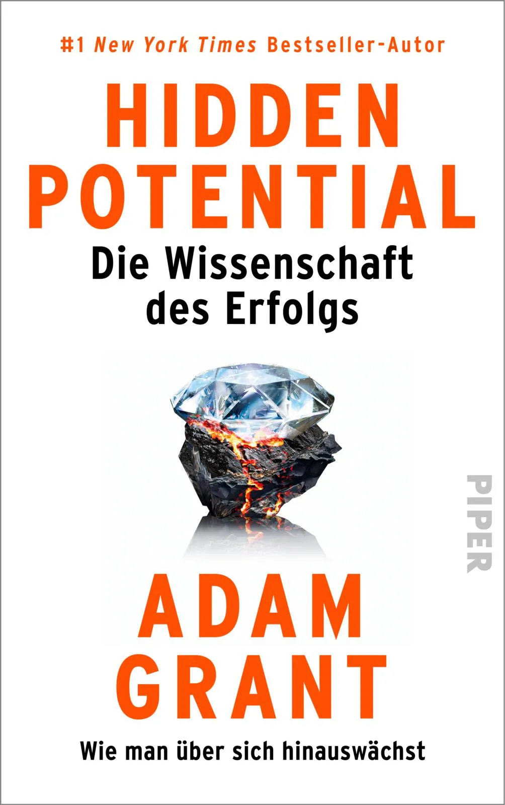 Buchcover: Hidden Potential