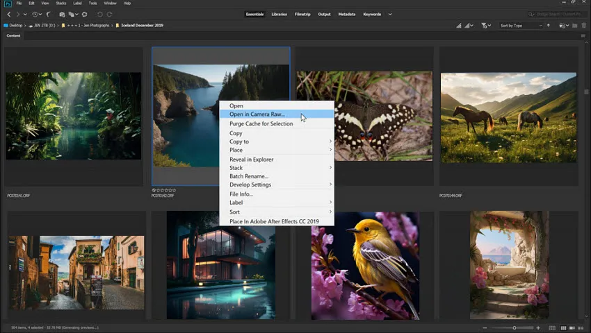 Camera Raw über Bridge öffnen