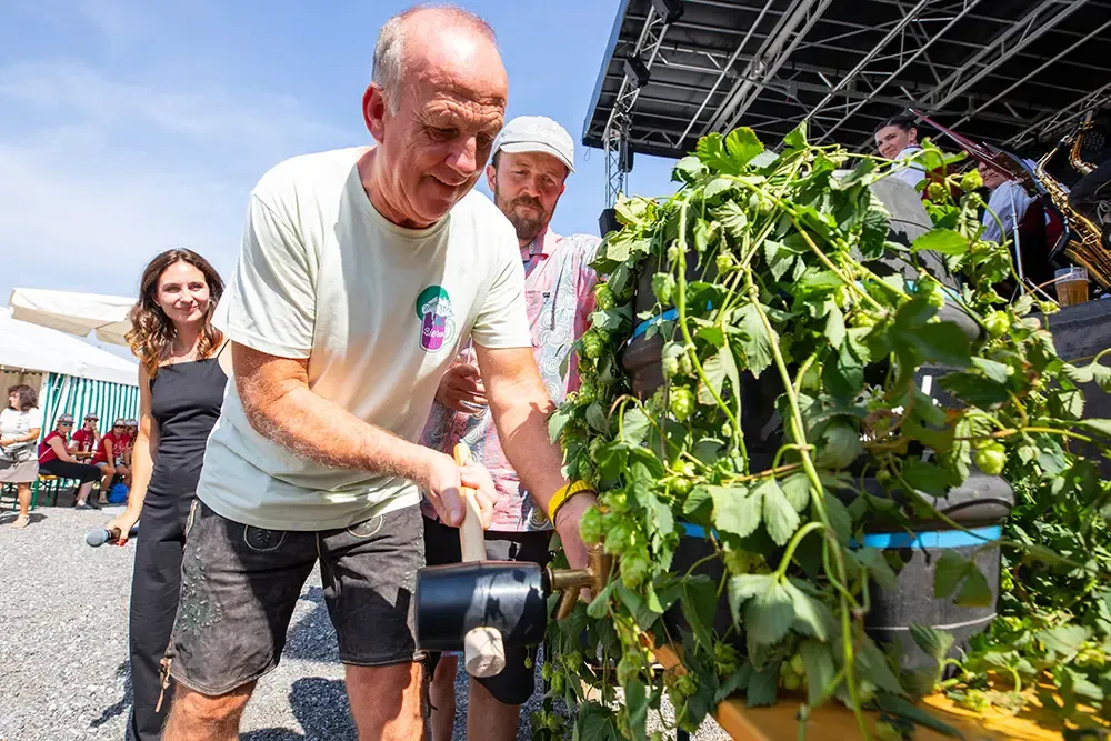 Eine Auswahl verschiedener Flaschen deutschen IPA Bieres von renommierten Craft-Brauereien, umgeben von einem traditionellen Holzfass, das die Verbindung von Innovation und Handwerk symbolisiert.