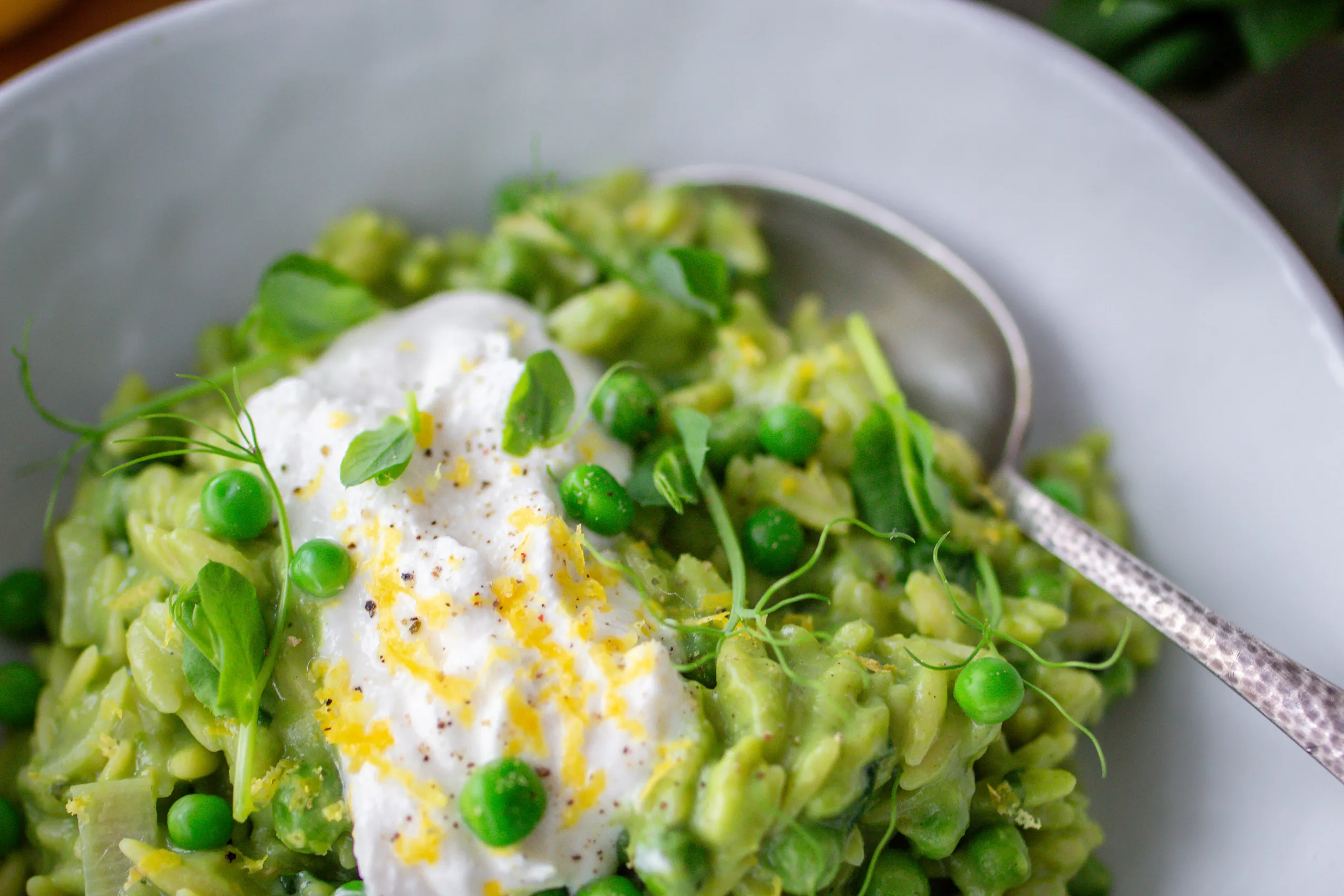 Ein letzter Blick auf das köstliche Bärlauch-Orzo Gericht