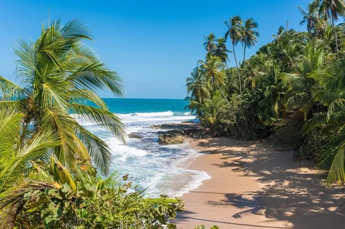 Ein wilder karibischer Strand in Costa Rica mit Palmen und blauem Meer.