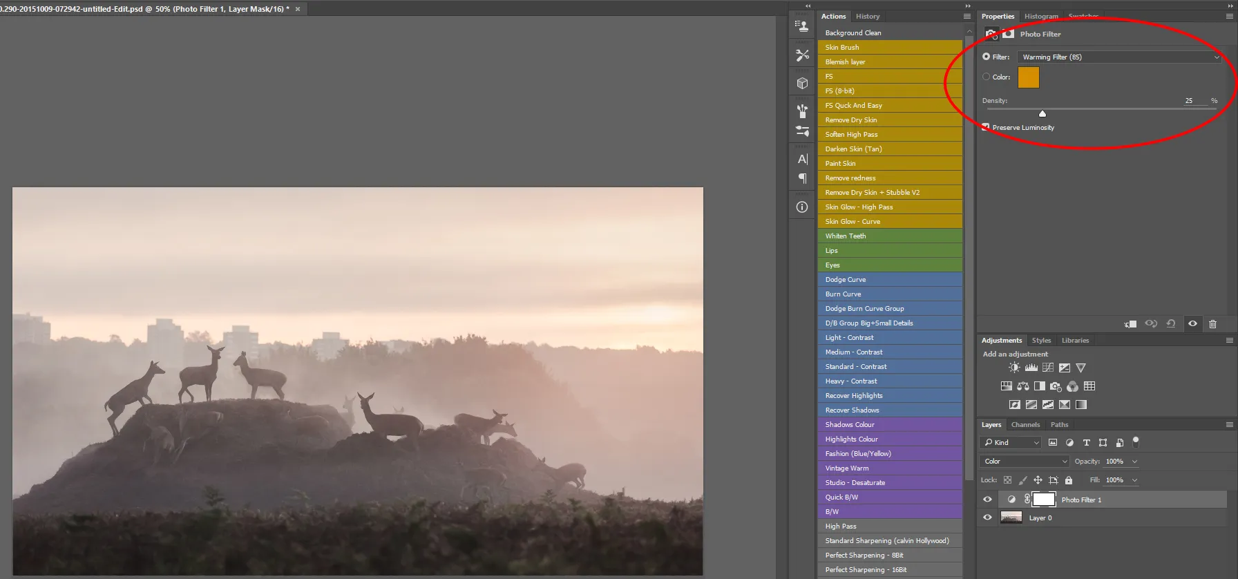 Farbkorrektur in Photoshop mit Fotofilter