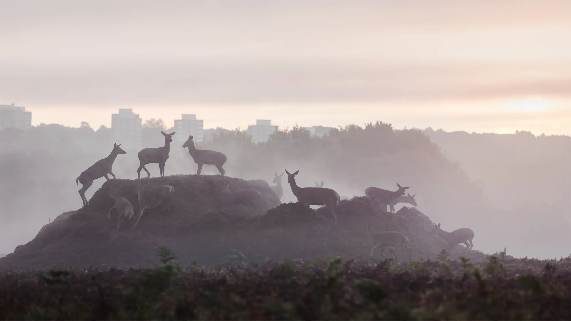 Farbkorrektur in Photoshop mit selektiver Farbkorrektur