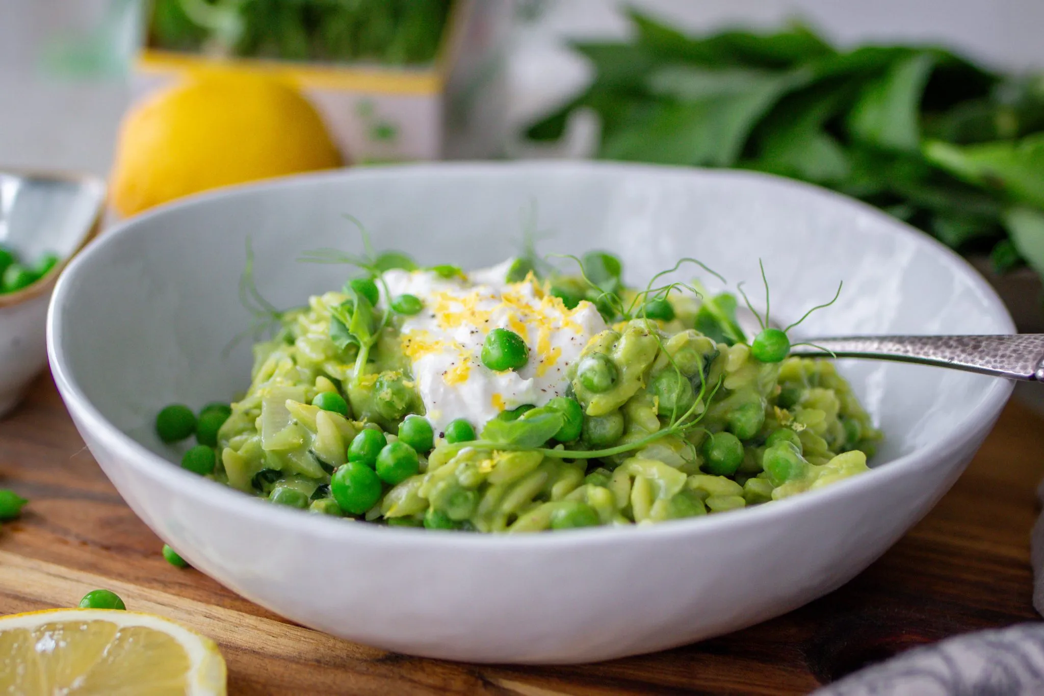 Fertig angerichtetes cremiges Bärlauch-Orzo