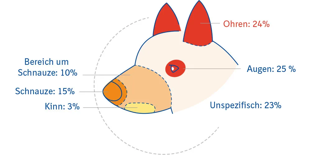 Grafik, die zeigt, wo Zecken am Hund am häufigsten zustechen