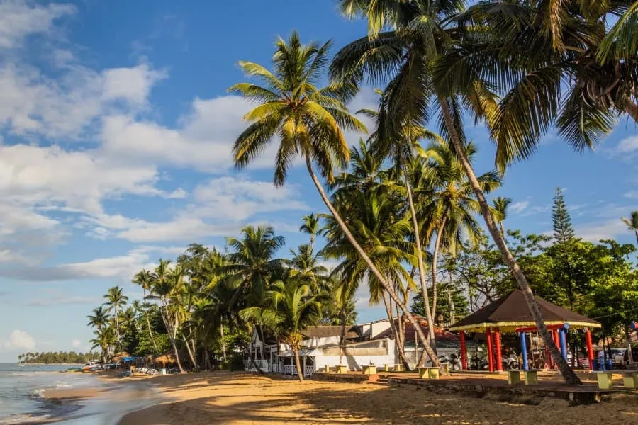 Karibischer Strand in der Dominikanischen Republik mit hohen Palmen, feinem Sand und einigen Hütten unter blauem Himmel. Ideal für Urlaub.