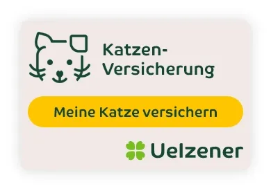 Katzenversicherung Banner