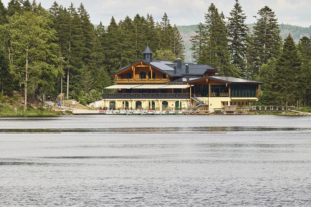 Eine deutsche Familie mit Baby im modernen Kinderwagen genießt einen sonnigen Spaziergang in einem Stadtpark, umgeben von Bäumen.