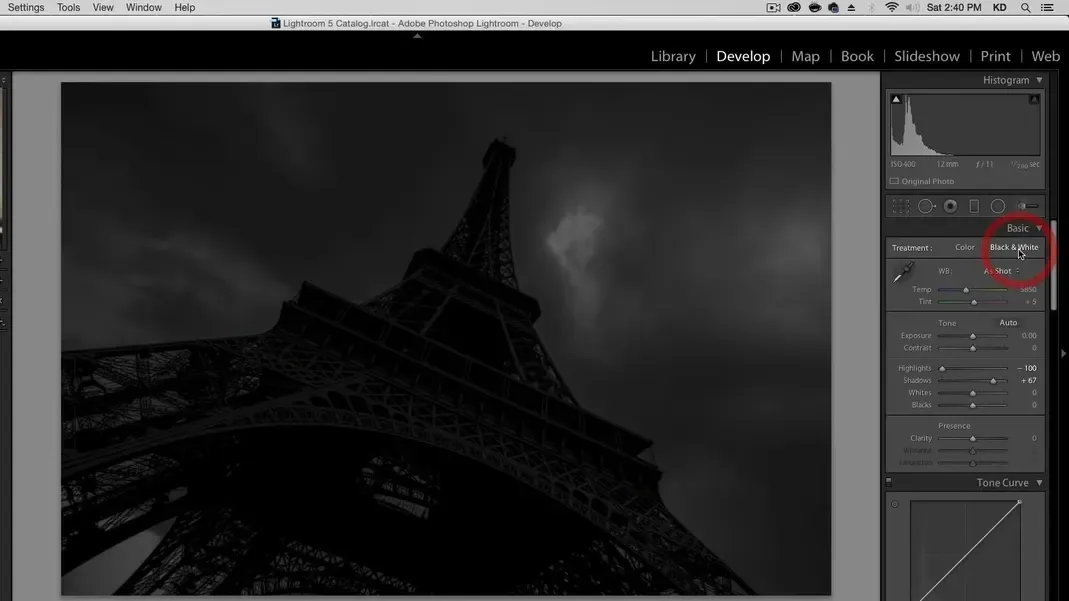 Konvertierung in Schwarz-Weiß