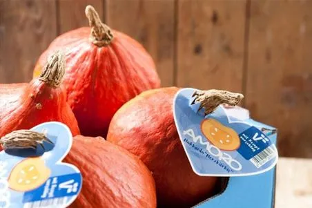 Kürbisspalten auf einem Teller mit Rucola und Ziegenfrischkäse