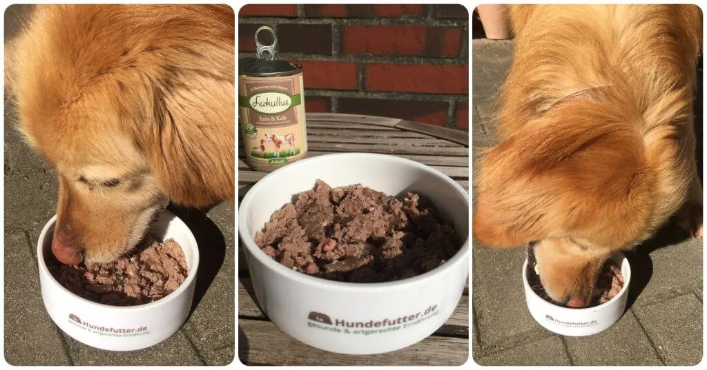 Lukullus Adult Nassfutter mit Ente und Kalb im Test