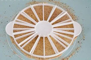 Mit Torteneinteiler Teig in 16 Stücke teilen und Schnittstelle markieren