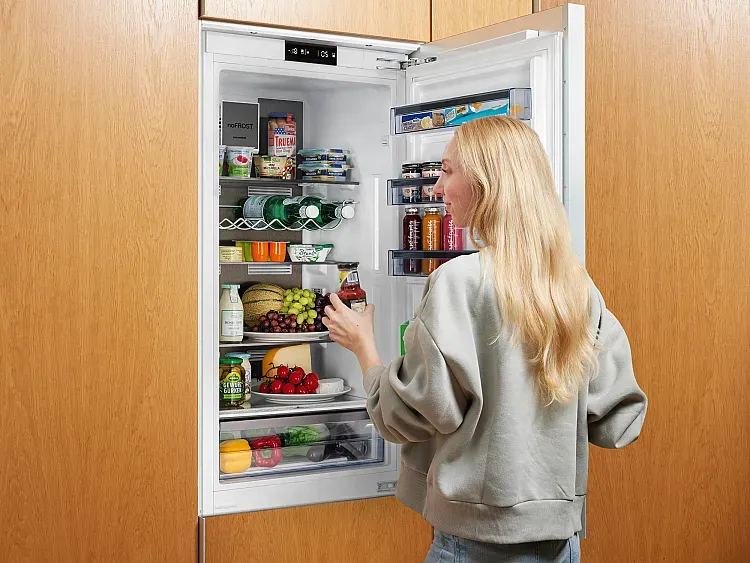 Oranier Einbaukühlschrank mit Dark Inox Rückwand aus gebürstetem, dunklem Edelstahl