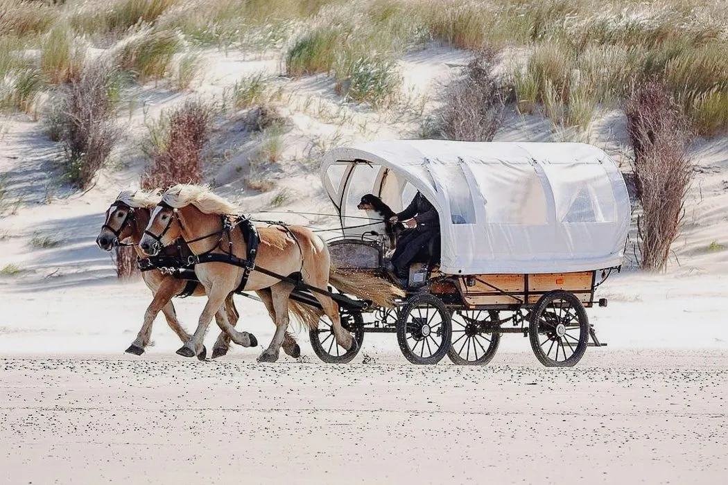 Pferdekutsche am Juister Strand