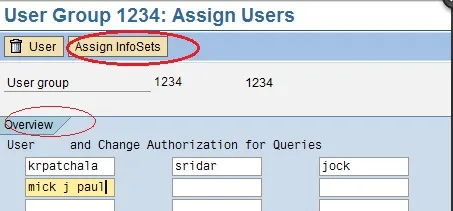 SAP Query Benutzergruppen Zuweisung
