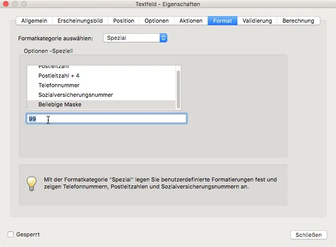 Screenshot einer Softwareoberfläche in Deutsch, die die Registerkarte „Format“ in einem Dialogfeld zeigt. Das Dropdown-Menü „Formatkategorie“ enthält „Spezial“ mit der Nummer „99“. Ein Glühbirnensymbol zeigt einen Informationstext an, der erklärt, wie diese Einstellungen beim Erstellen eines PDF-Formulars effektiv genutzt werden können.