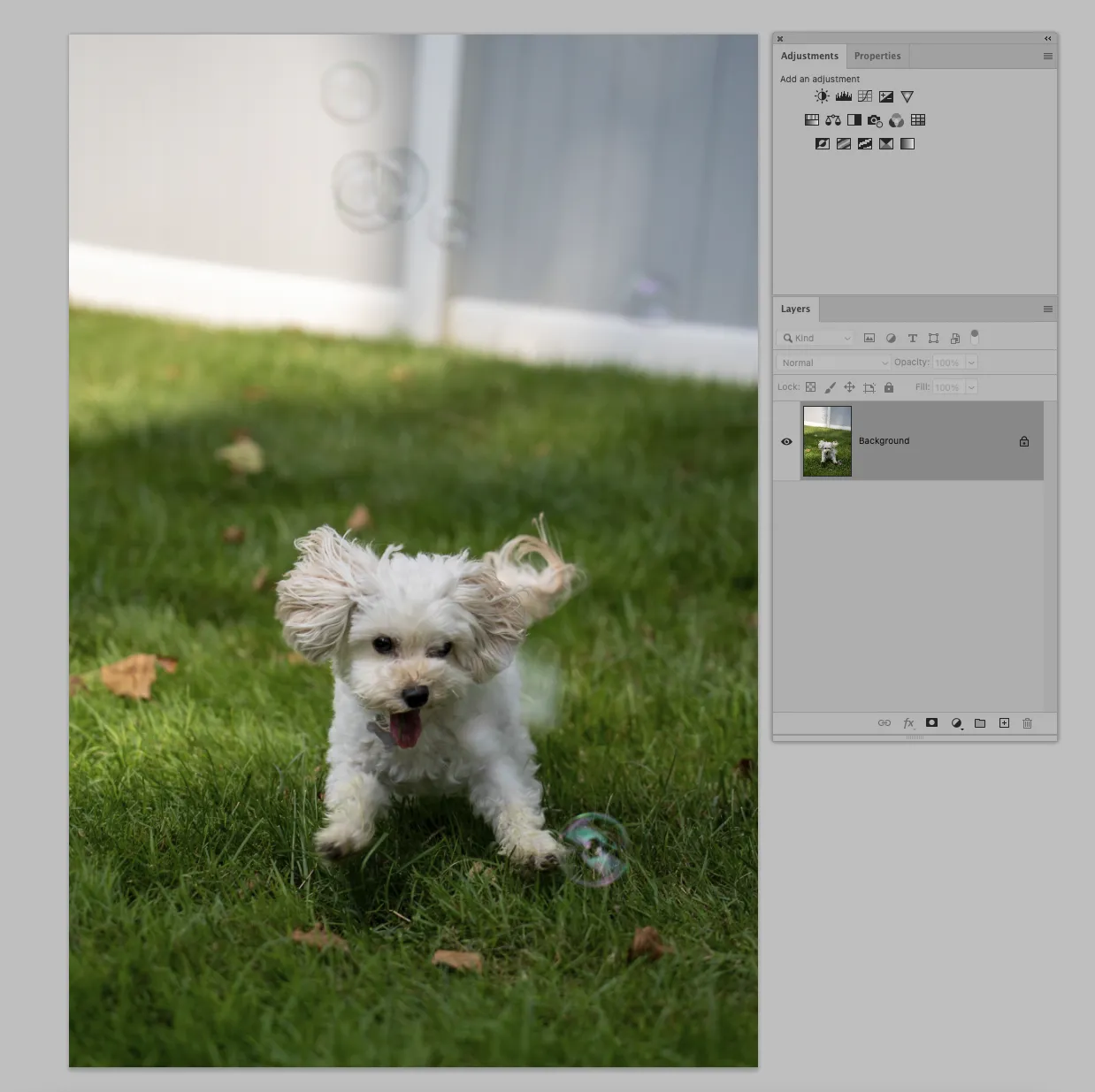 Screenshot von Photoshop