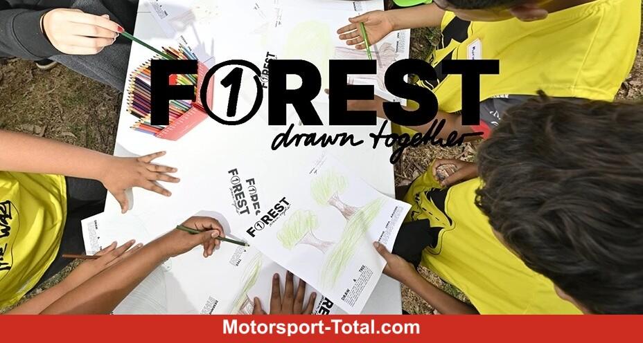 Sebastian Vettel engagiert sich für Umweltschutz und Nachhaltigkeit nach seiner Formel-1-Karriere.