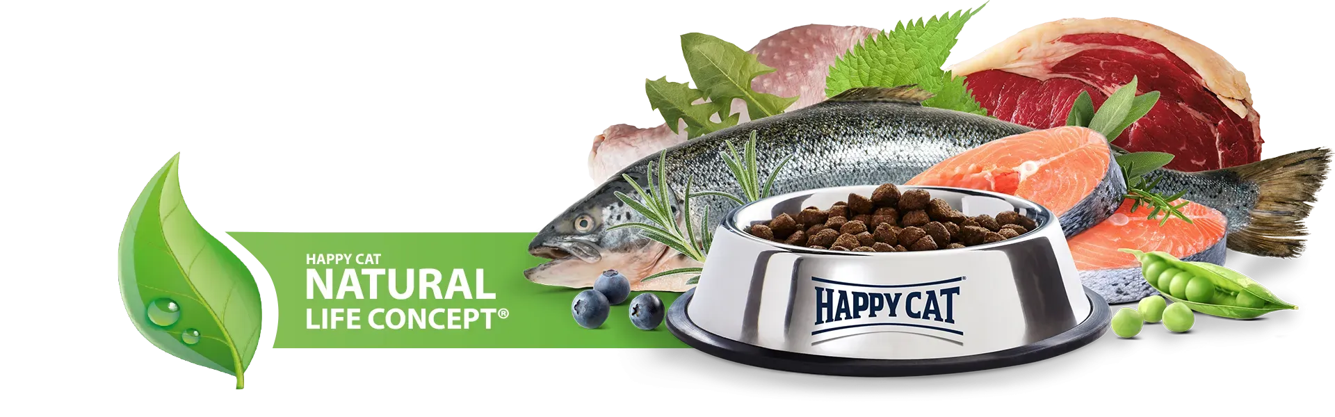 Silberner Napf mit Trockenfutter, umgeben von Fisch, Fleisch und Gemüse, auf grünem Hintergrund. Text: