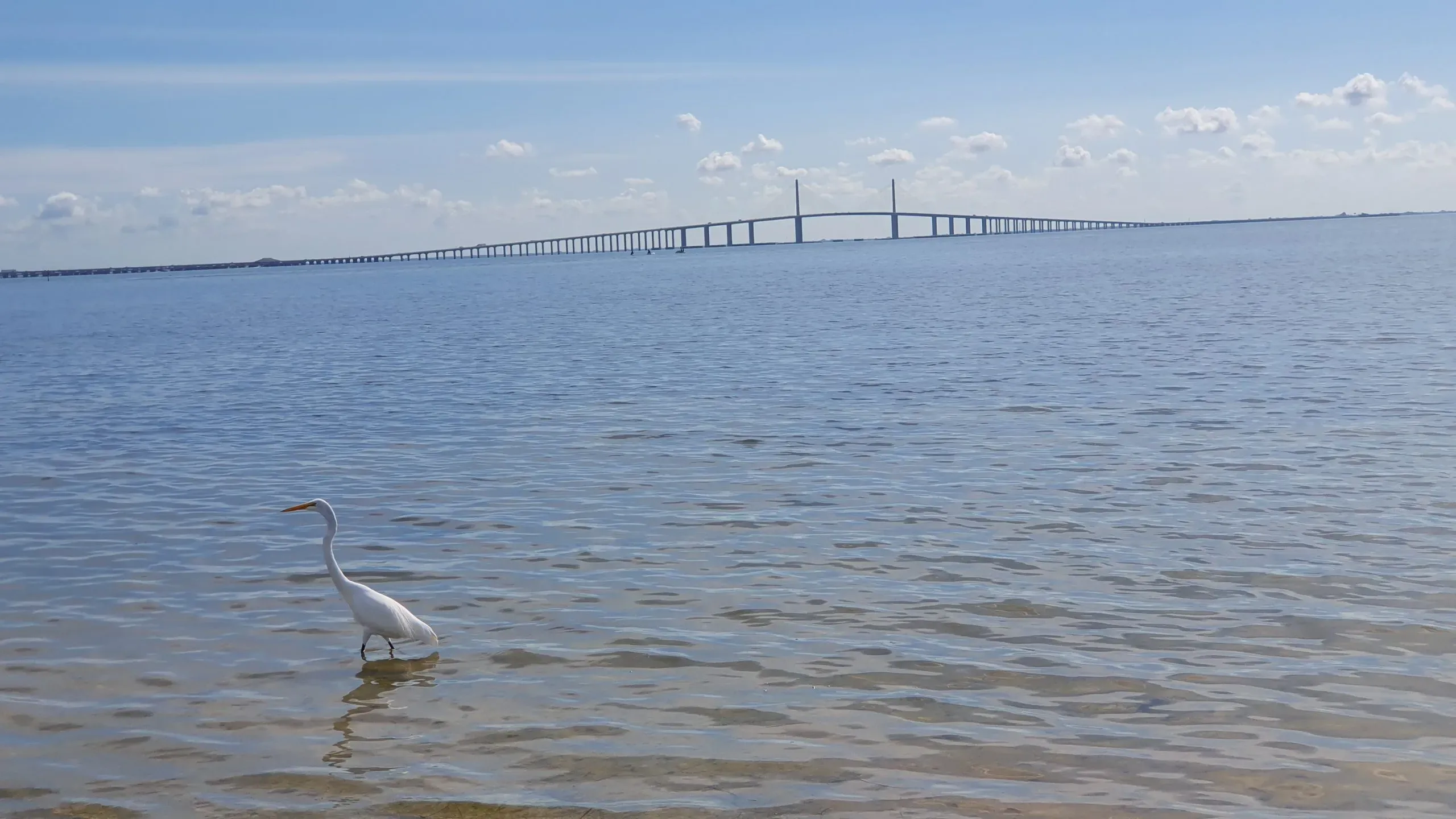 Sunshine Skyway Bridge