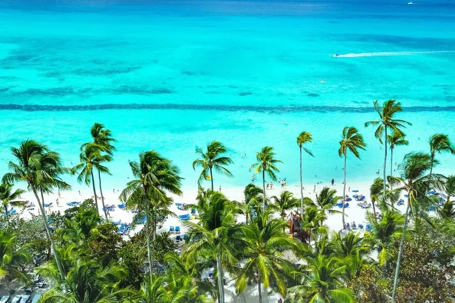 Türkisblaues Meer grenzt an weißen Sandstrand, gesäumt von hohen, grünen Palmen. Menschen entspannen auf Liegestühlen, während motorisierte Boote sanft über das Wasser gleiten.