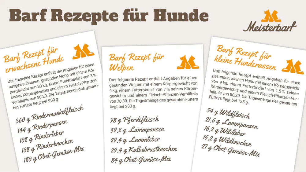 Verschiedene Barf-Rezepte für Hunde