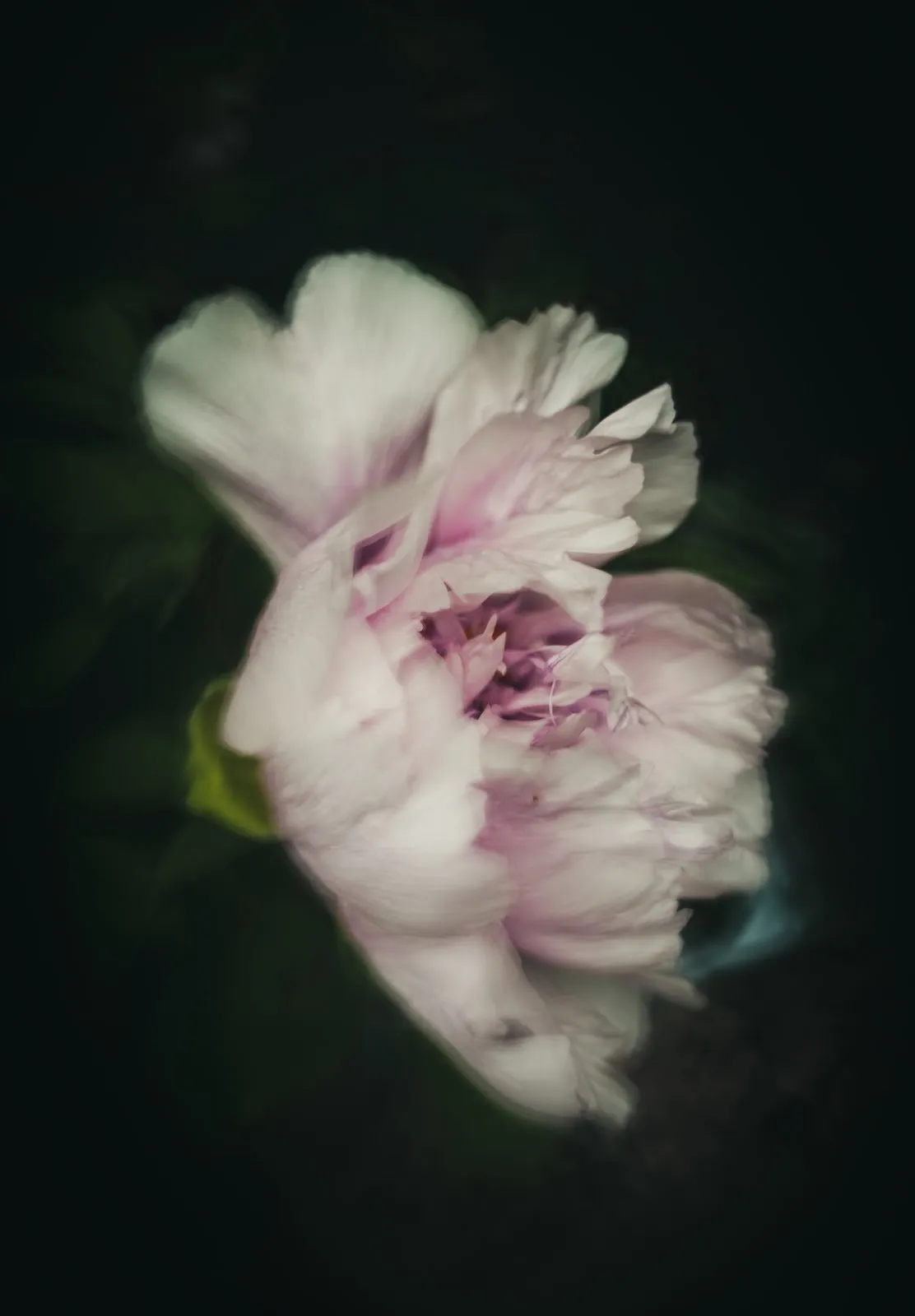 Vignette, erstellt mit Photoshop.