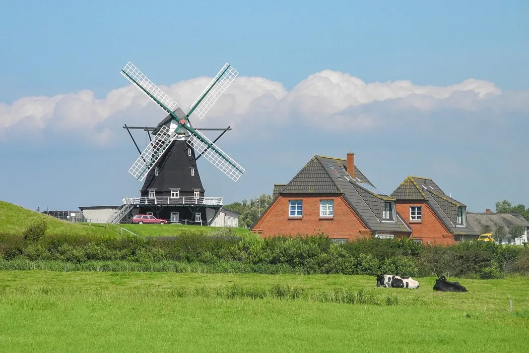Windmühle auf Pellworm