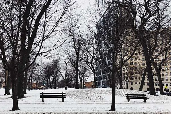Winter in Chicago