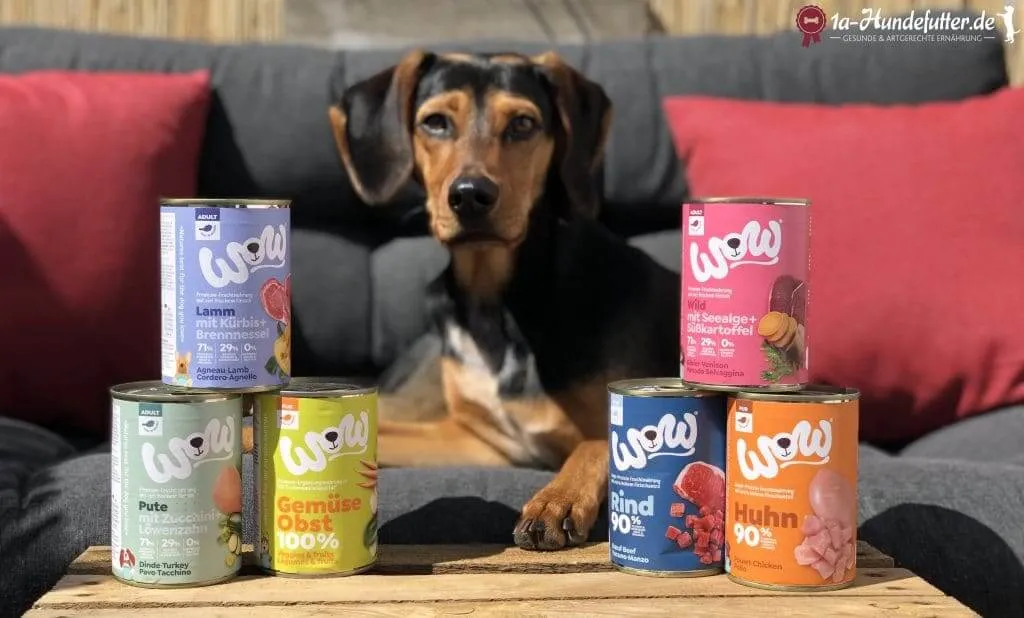 WOW Hundenassfutter