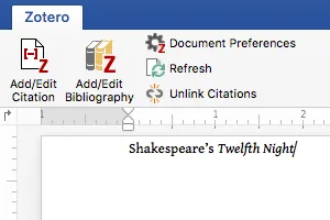 Zotero Plugin Tab in Word